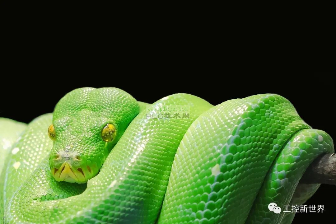 用测试的方法来学习，是你必备的技能！长文详细规范的讲解Python 3程序设计基础之基本/组合数据类型、读写文件操作等内容。